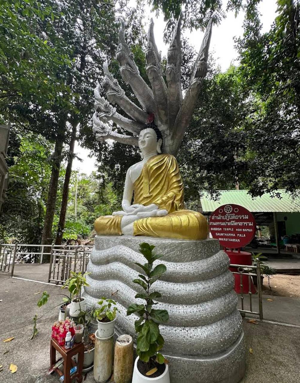 Hin Lad Waterfall Samui quiet jungle peaceful nature