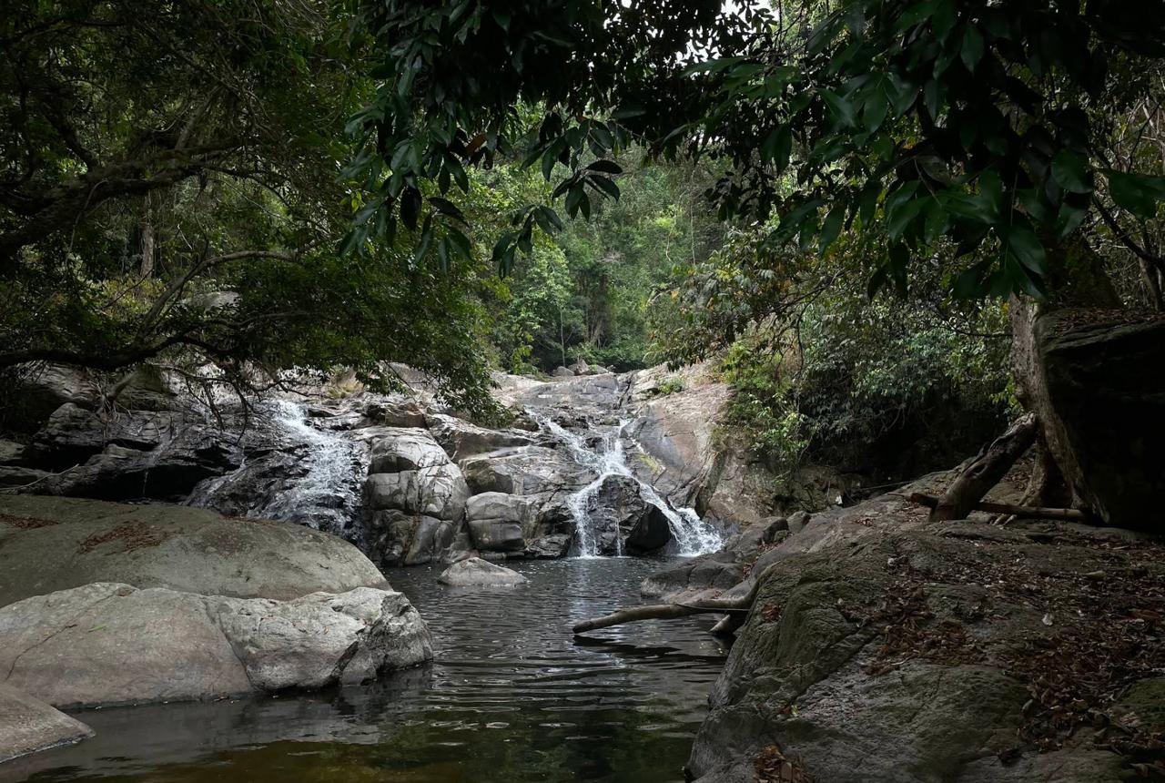 Hin Lad Waterfall Samui jungle waterfall tropical nature stream