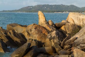 Hin Ta Hin Yai rocks Samui unusual stone formations coast