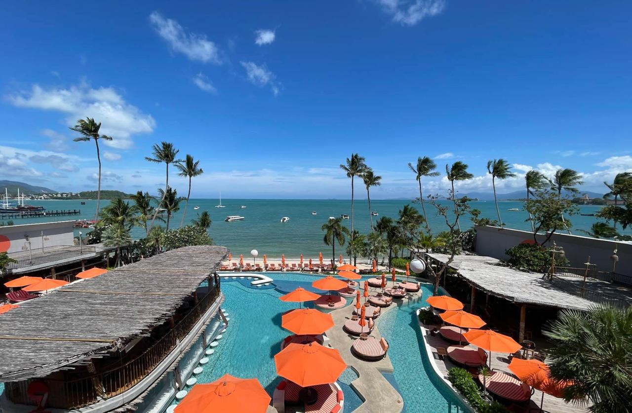 79 Beach Club Samui beach club pool sunbeds seaside