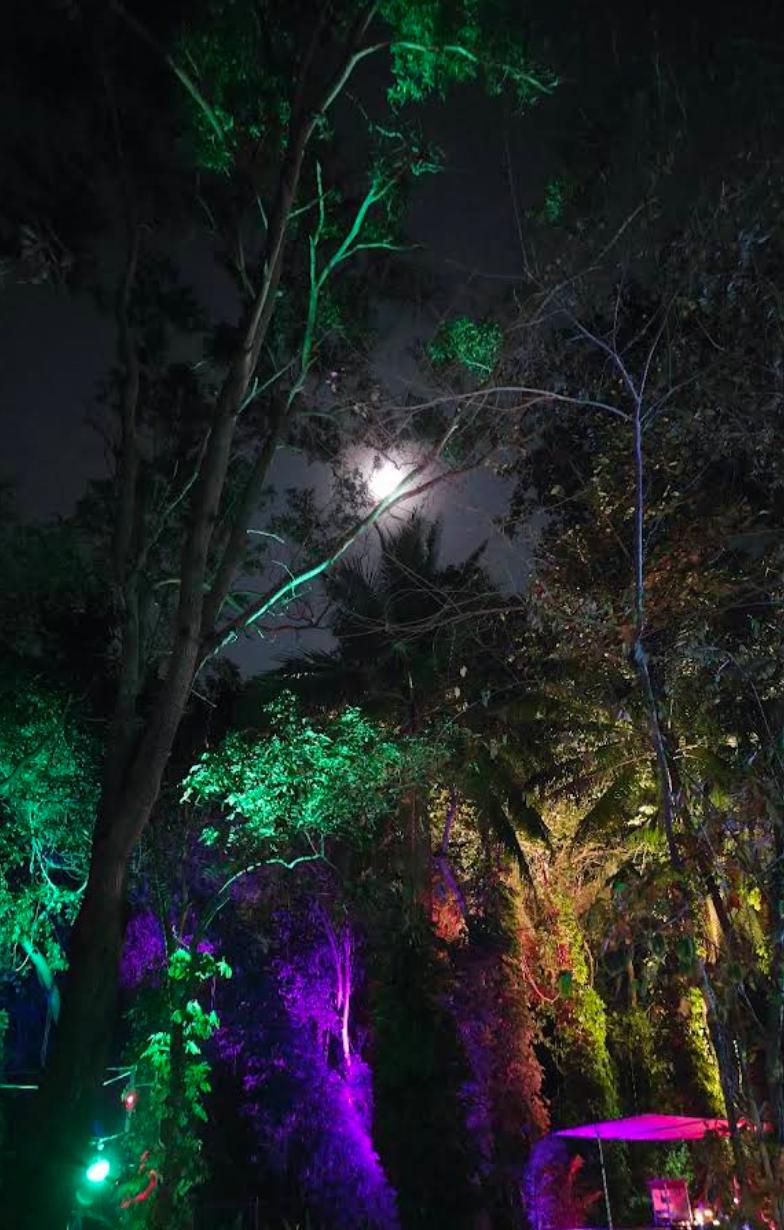 El Forest Samui jungle restaurant lounge tropical atmosphere