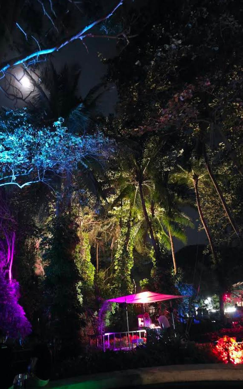 El Forest Samui jungle restaurant lounge tropical atmosphere