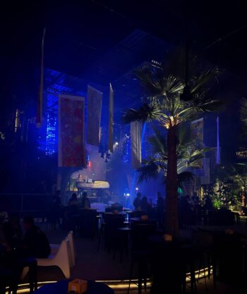 Forest in Town FiT Club Samui lounge club Lamai nightlife