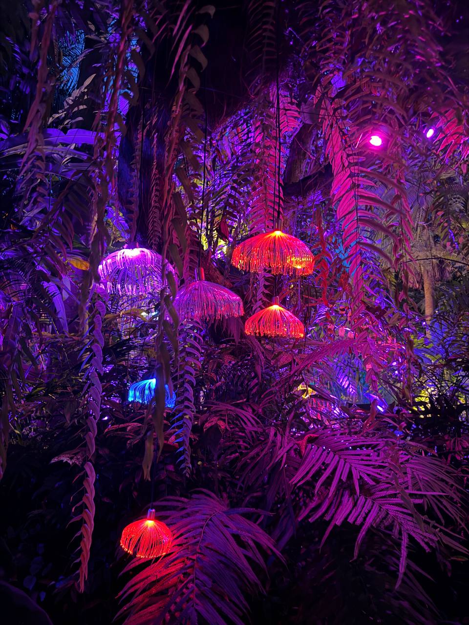 The Xperience Samui art installations creative architecture immersive