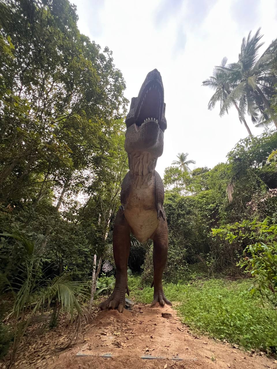 The Xperience Samui immersive attraction art park entertainment